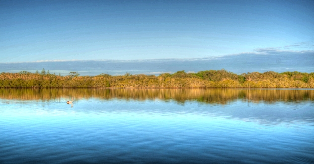 Tweed River NSW