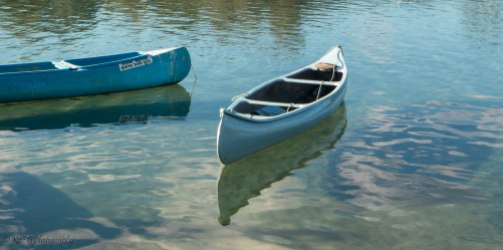 Kayaks on the river
