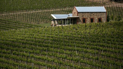 winery-mclaren-vale