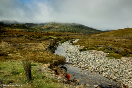 cradle mountain stream-0457